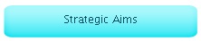 Strategic Aims