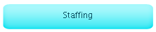 Staffing
