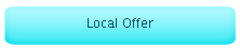 Local Offer